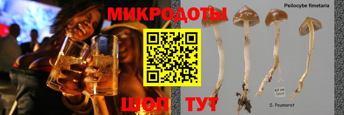 Псилоцибиновые грибы мухоморы  Вход с VPN  Жуковский  Псилоцибиновые грибы MAGIC MUSHROOMS 